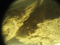Moroccan hash in Spain