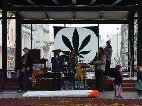 local band Zuvuya entertained Dunedin's assembled cannabis culture