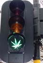 Traffic light in Dunedin
