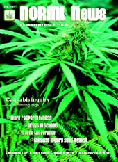 Summer 2002-2003 cover