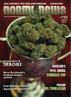 NORML news cover winter 2004